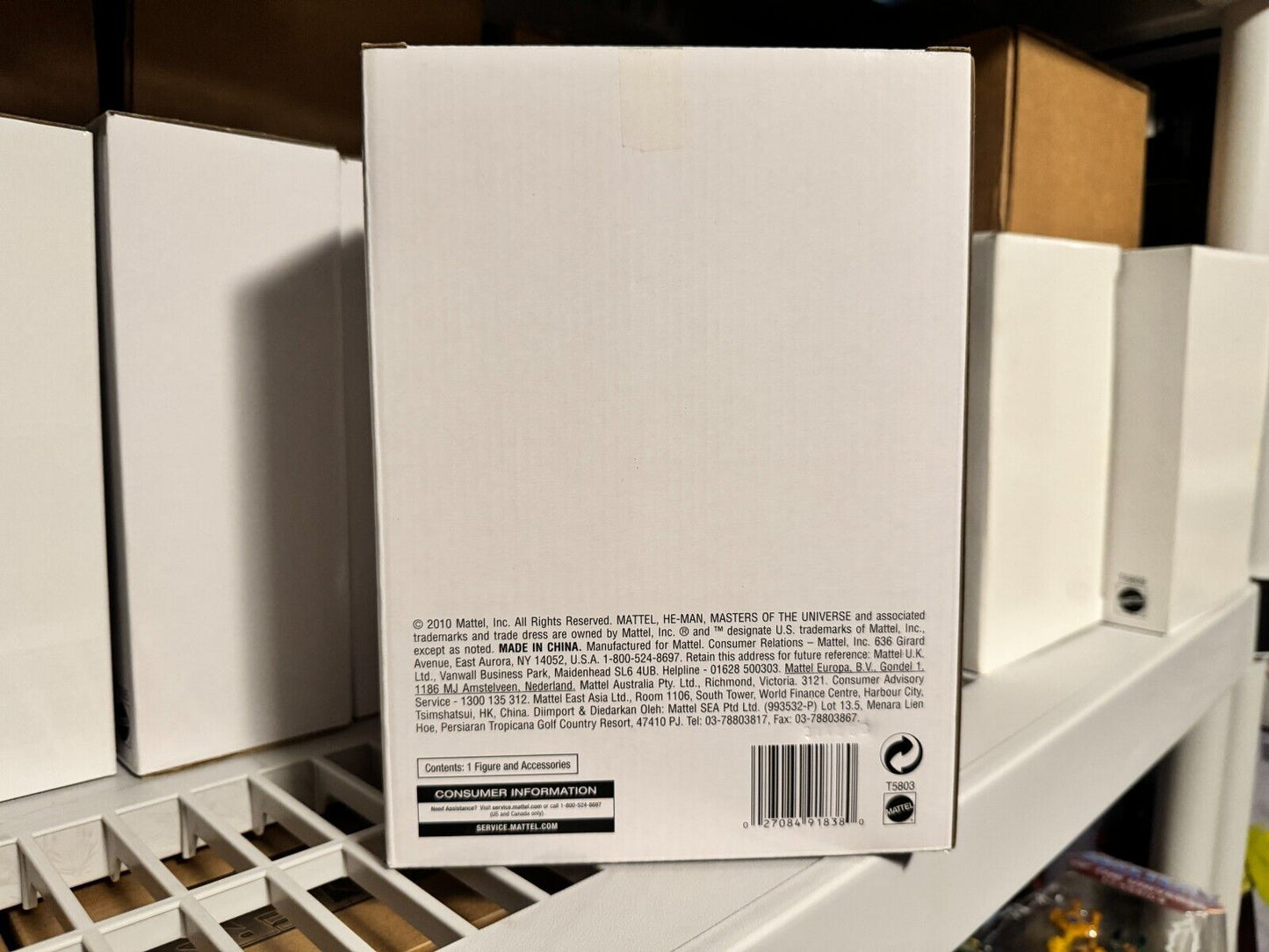 Mattel MOTU Classics Buzz Off with mailer box