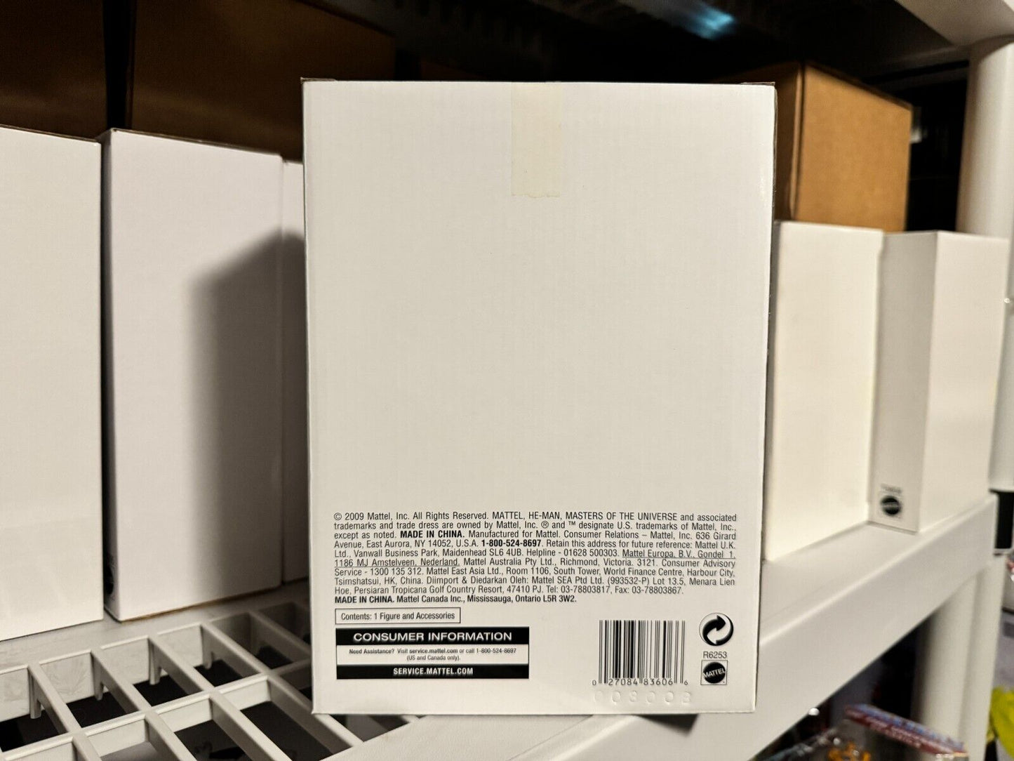 Mattel MOTU Classics Evil-Lyn with mailer box