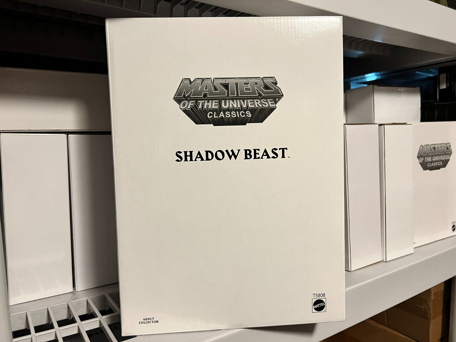 Mattel MOTU Classics Shadow Beast with mailer box